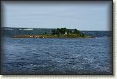 DSC06295