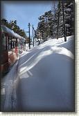 IMG_6079