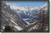 IMG_6081