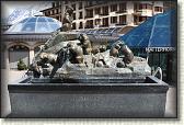 IMG_6548