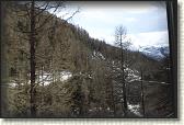 IMG_6565