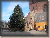 IMG_8117
