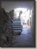 IMG_7135