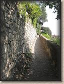 IMG_7143
