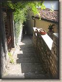 IMG_7146