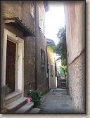 IMG_7155