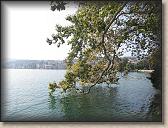 IMG_7266