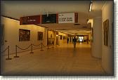 DSC03970