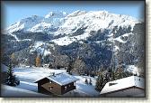 IMG_3379