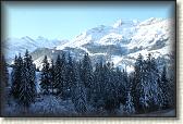 IMG_3384
