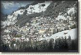 IMG_3390