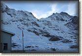 IMG_3481