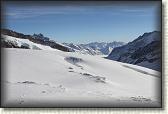 IMG_3668