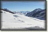 IMG_3677