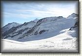 IMG_3693