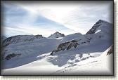 IMG_3698