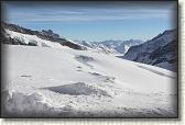 IMG_3704