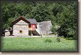 IMG_5704