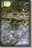 IMG_5720